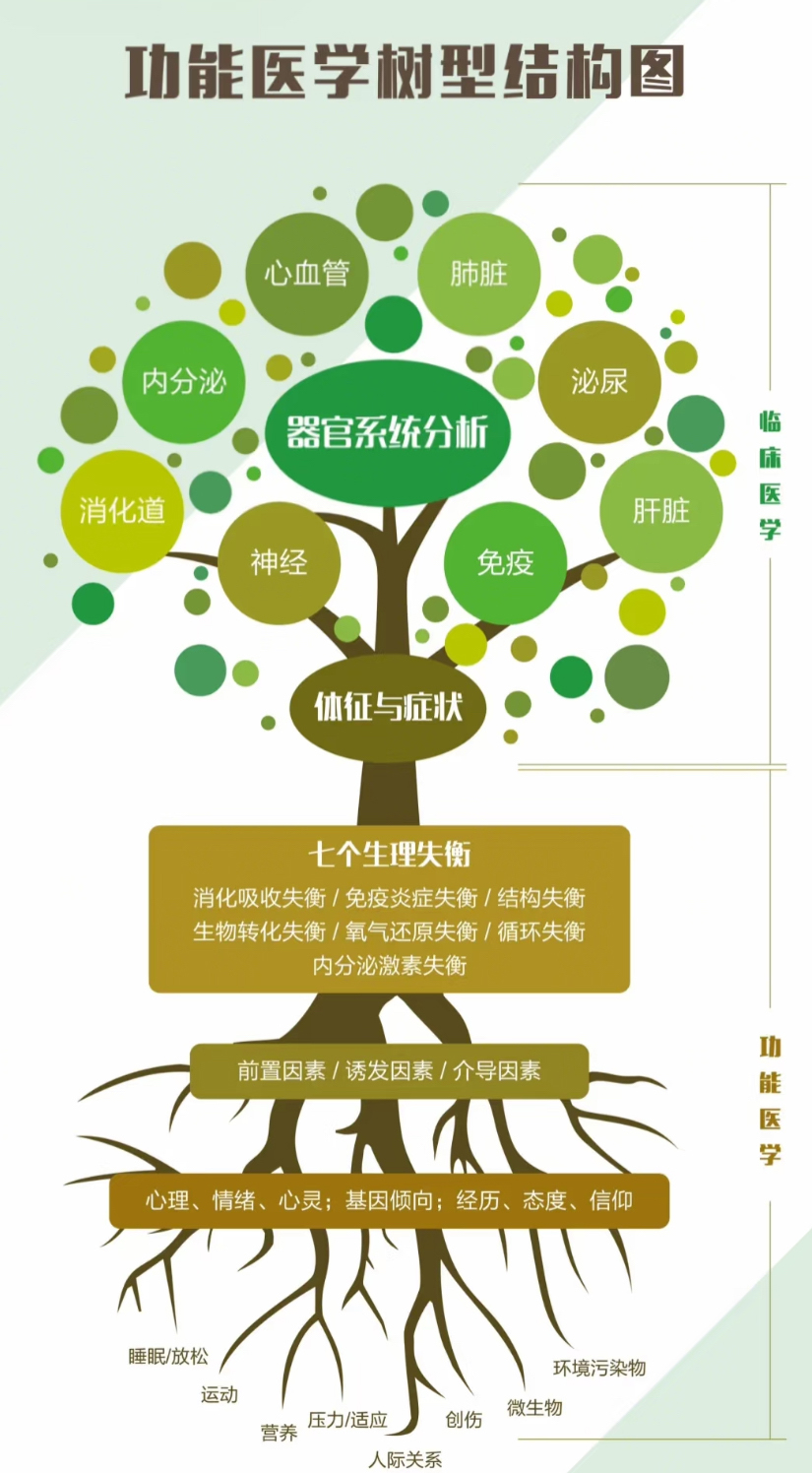 核心临床失衡图示